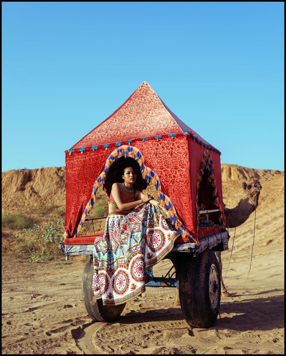 Woman sits on a cart with a tent-like cover pulled by a camel in a desert landscape under a clear blue sky on a sunny day.