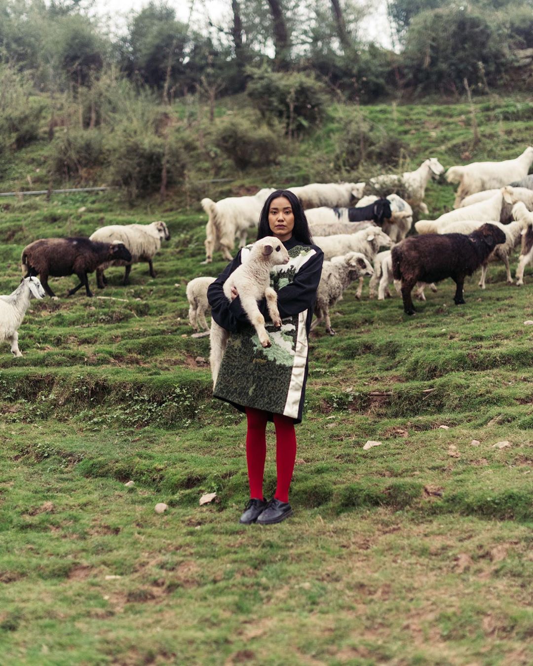 Woman in patterned coat standing on green hillside holding lamb with herd of sheep grazing in background on overcast day.