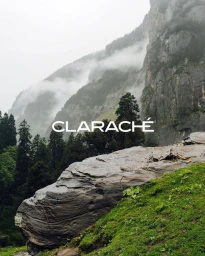 Large weathered grey rock on a vibrant green grassy slope with dense pine trees and misty mountain peaks in the background