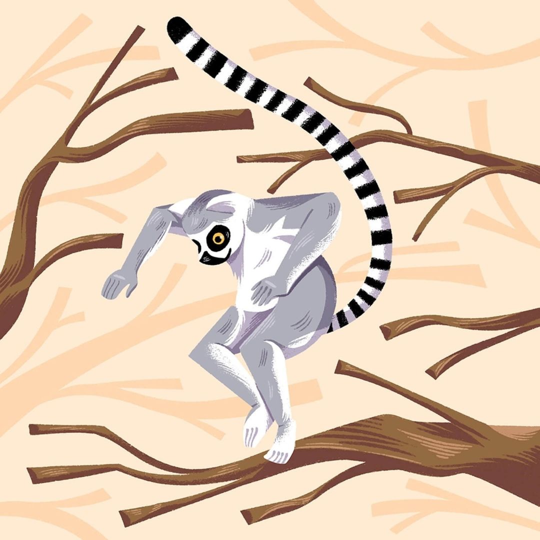 Illustration of a lemur swinging through tree branches, rendered in a geometric, textured style with shades of grey, black, and brown.