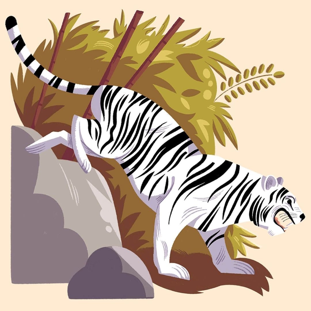 Illustration of a white tiger with black stripes climbing over a rock formation with jungle foliage in the background.