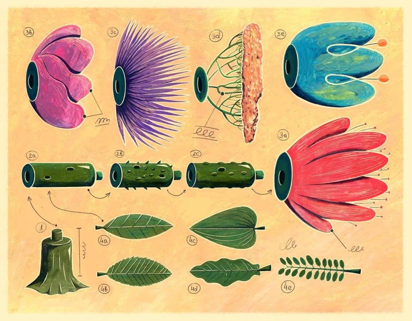 Botanical illustration of a dissected flower with labeled parts, showcasing its anatomy and structure in a vibrant, educational display.