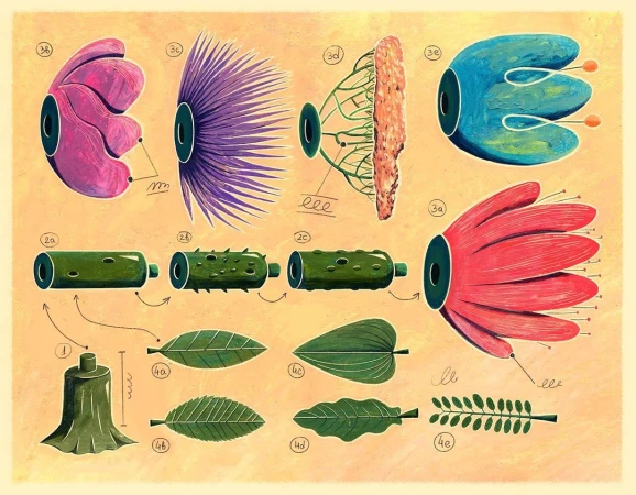 Botanical illustration of a dissected flower with labeled parts, showcasing its anatomy and structure in a vibrant, educational display.