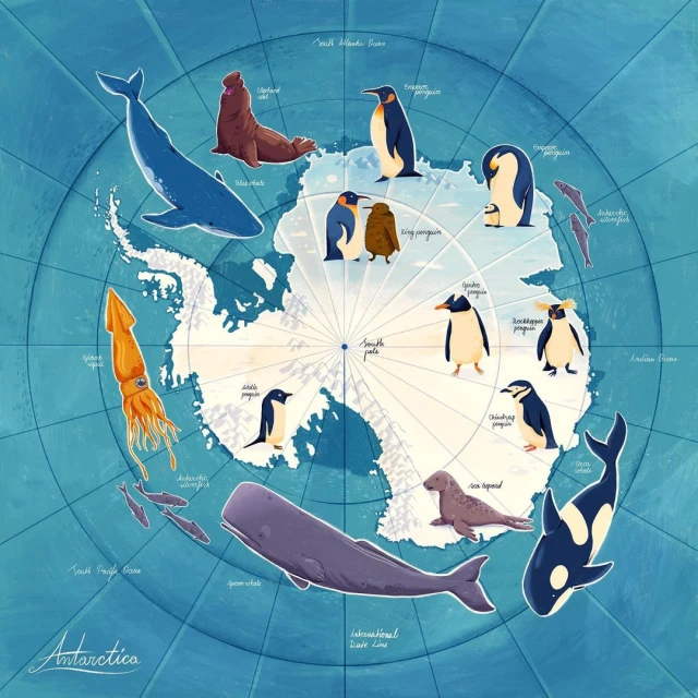 Whales, seals, penguins, and squid are illustrated around a map of Antarctica on a blue background with latitude and longitude lines.
