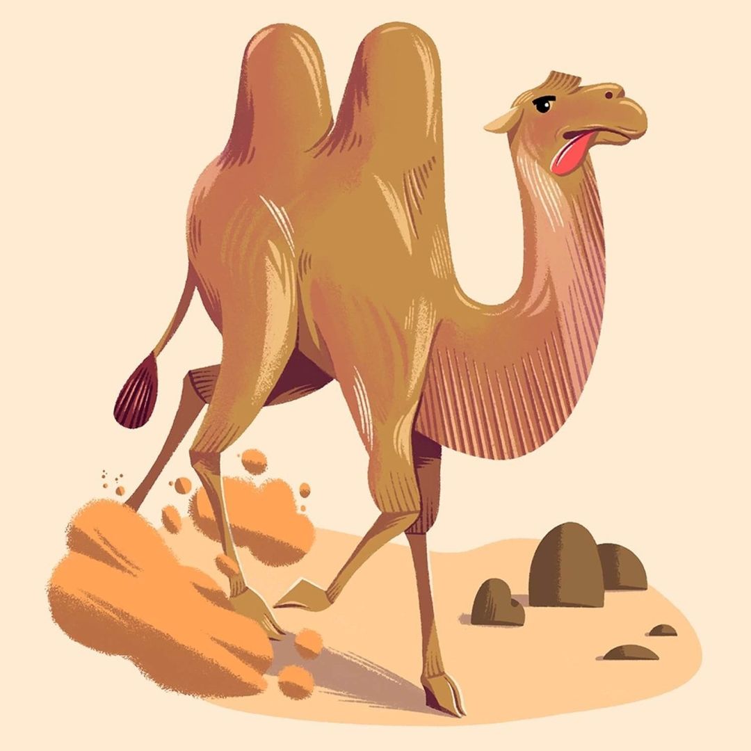 Illustration of a cartoon camel with its tongue sticking out, walking across a desert-like landscape with small rock formations.