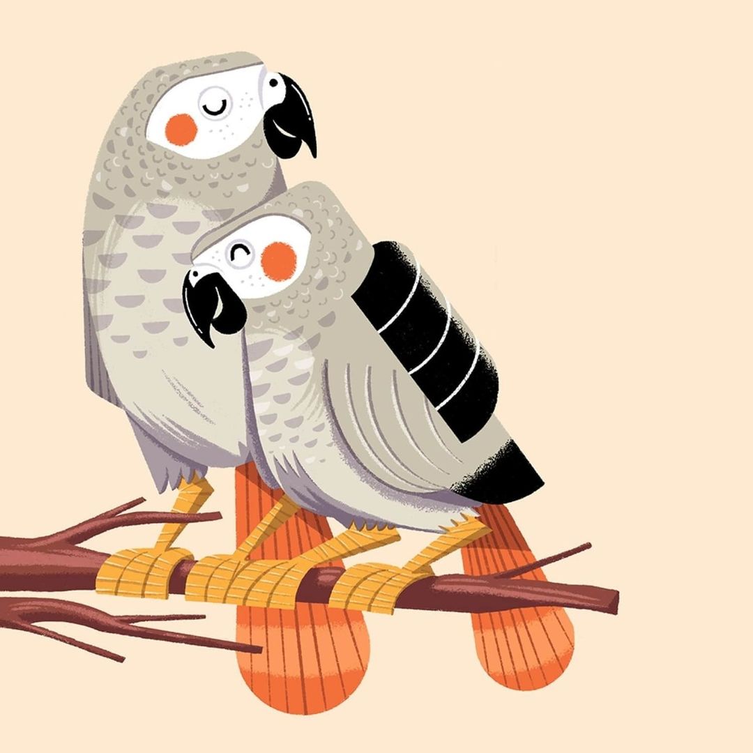Illustration of two grey parrots perched on a brown branch against a light peach background, showcasing a charming and whimsical design.