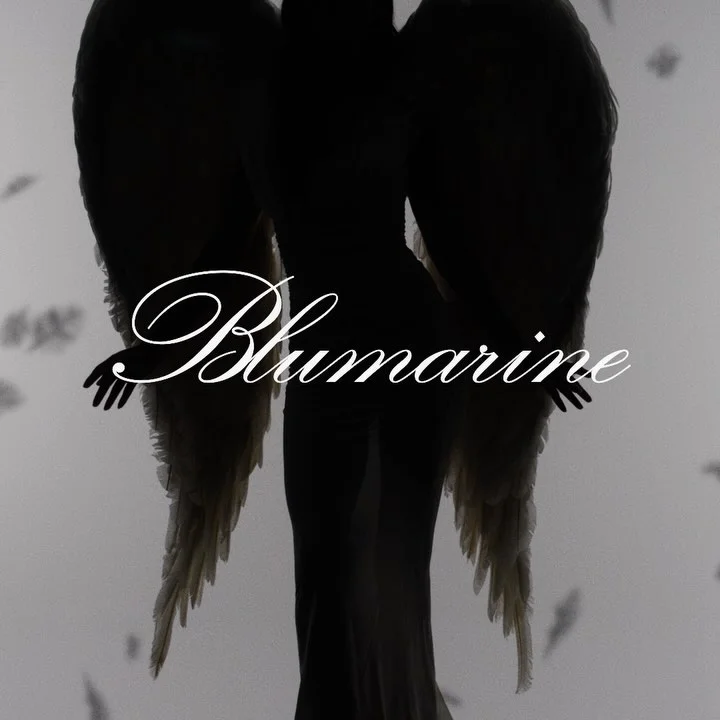 Silhouette of a figure with large feathered wings against a bright background with floating debris, featuring the Blumarine logo.