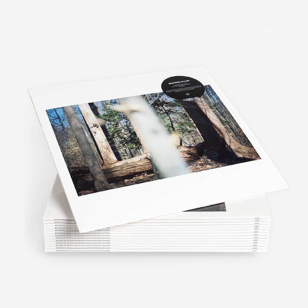 Stacks of albums featuring an image of a forest with trees and fallen logs, presenting a serene nature scene on album covers.