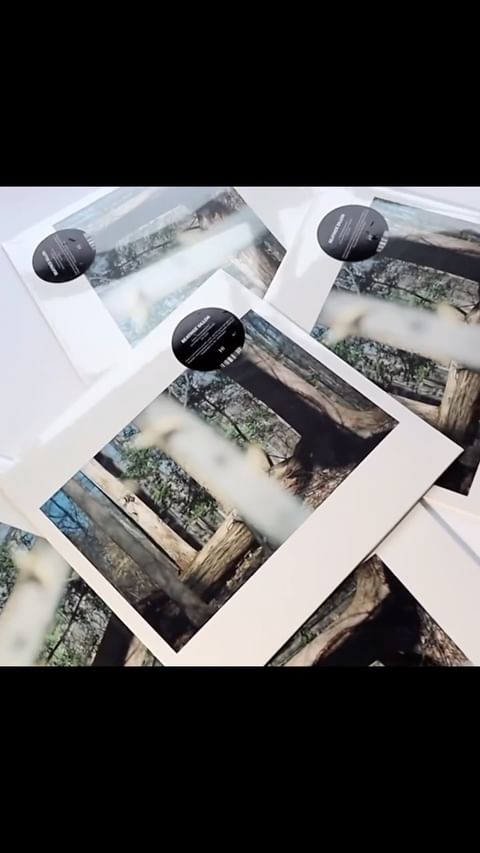 Several prints on a white surface show a blurred forest scene with tree trunks and branches. There are stickers with text on the prints.