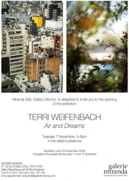 Exhibition invitation poster featuring two photographic panels above typography for Terri Weifenbach Air and Dreams in Paris
