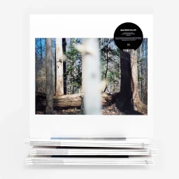Vinyl record album cover featuring a forest landscape photograph by Terri Weifenbach on a white background