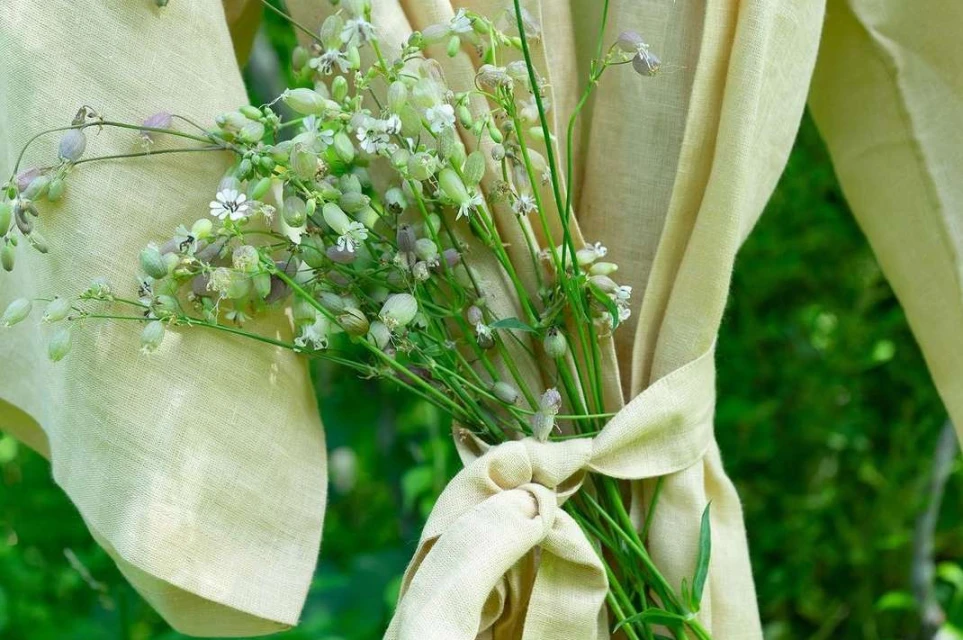 Close-up of a bouquet of small white flowers tied with a pale yellow fabric sash against a green, foliage-filled background.