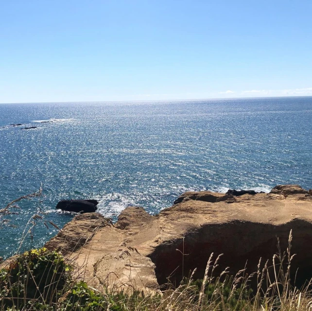 Ocean view with blue water, clear sky, and tan cliffs with some green plants in foreground. Sunny daylight scene with waves.