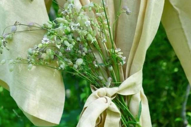 Close-up of a bouquet of wildflowers tied with light beige fabric against a blurred natural green background.