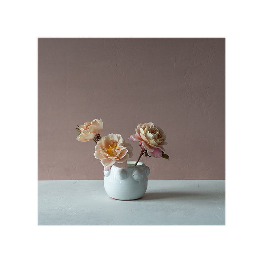 Still life photography of three peach-colored roses in a white ceramic vase on a white surface against a pale pink background.