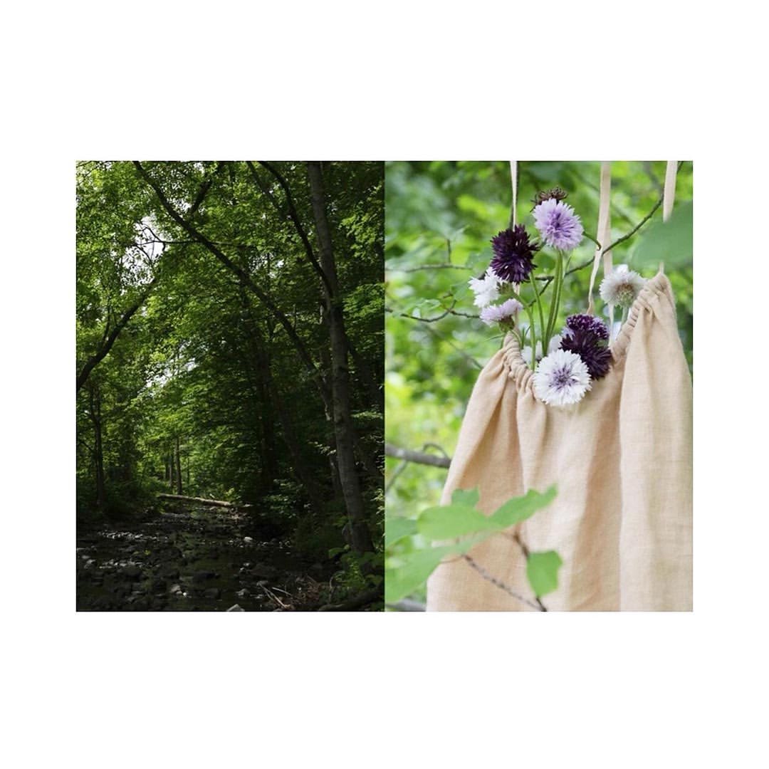 Split image: Lush forest path, vibrant greenery, and a floral arrangement of purple and white cornflowers in a light brown linen sack.