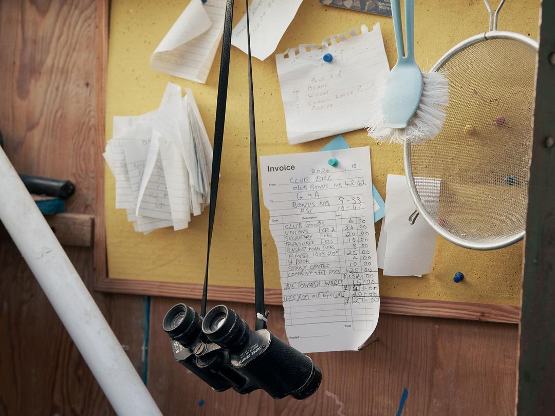 Still life of hanging binoculars, notes, cleaning brush and kitchen strainer against a yellow wood panel, creating an organized display.