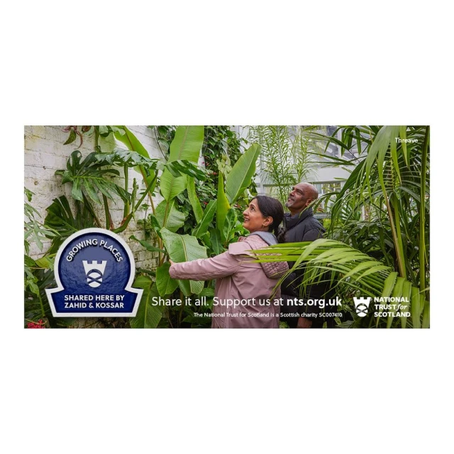 Woman and man admire lush greenery at Growing Places, supported by The National Trust for Scotland, surrounded by tropical plants.