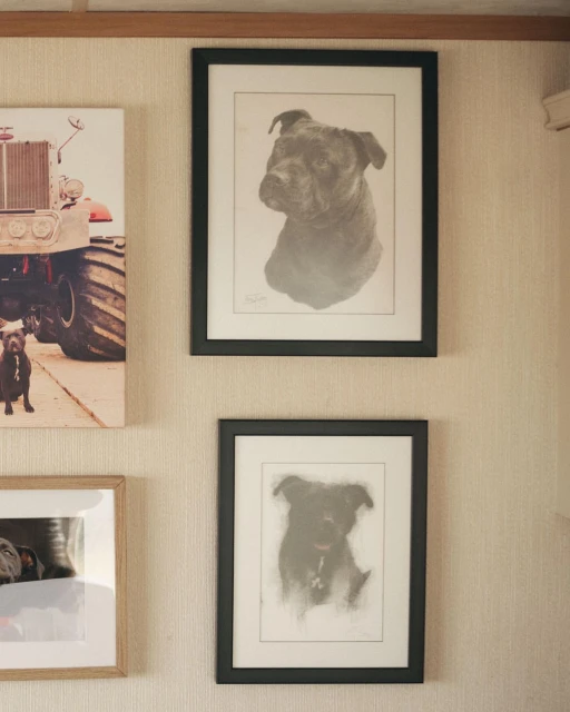 Framed drawings of a dog hang on a textured wall. One drawing features a close up of the dog's head and shoulder.