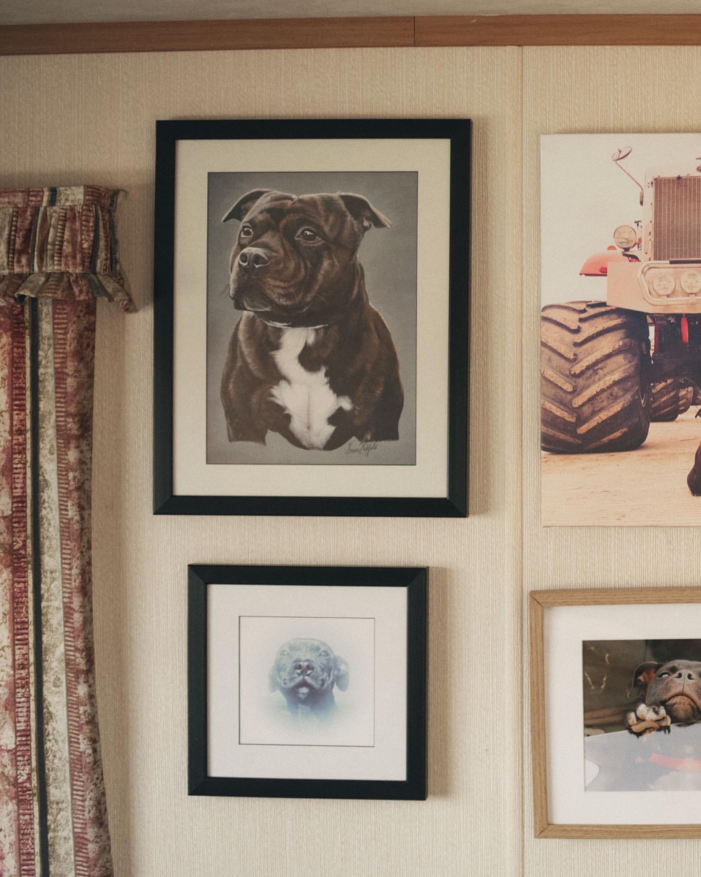 A black framed drawing features a brown and white dog, hung above other framed art, creating a gallery wall effect in the home interior.