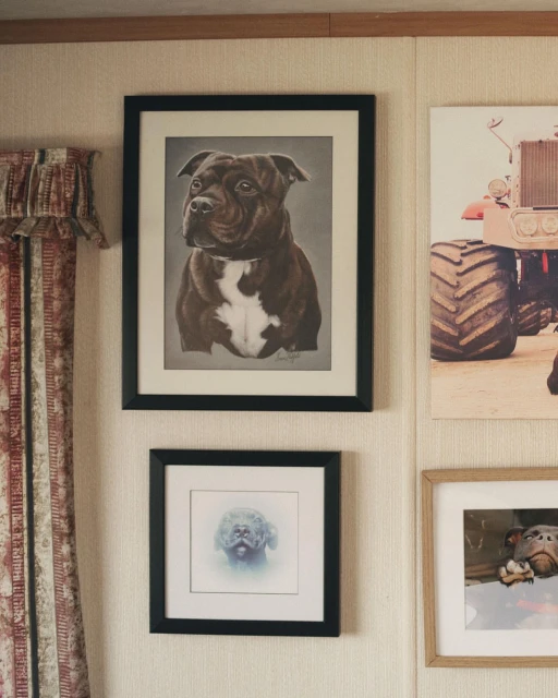 A black framed drawing features a brown and white dog, hung above other framed art, creating a gallery wall effect in the home interior.