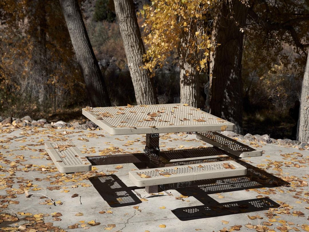 Picnic table surrounded by fallen leaves in an outdoor park setting with tall trees and natural light, creating a tranquil autumn scene.