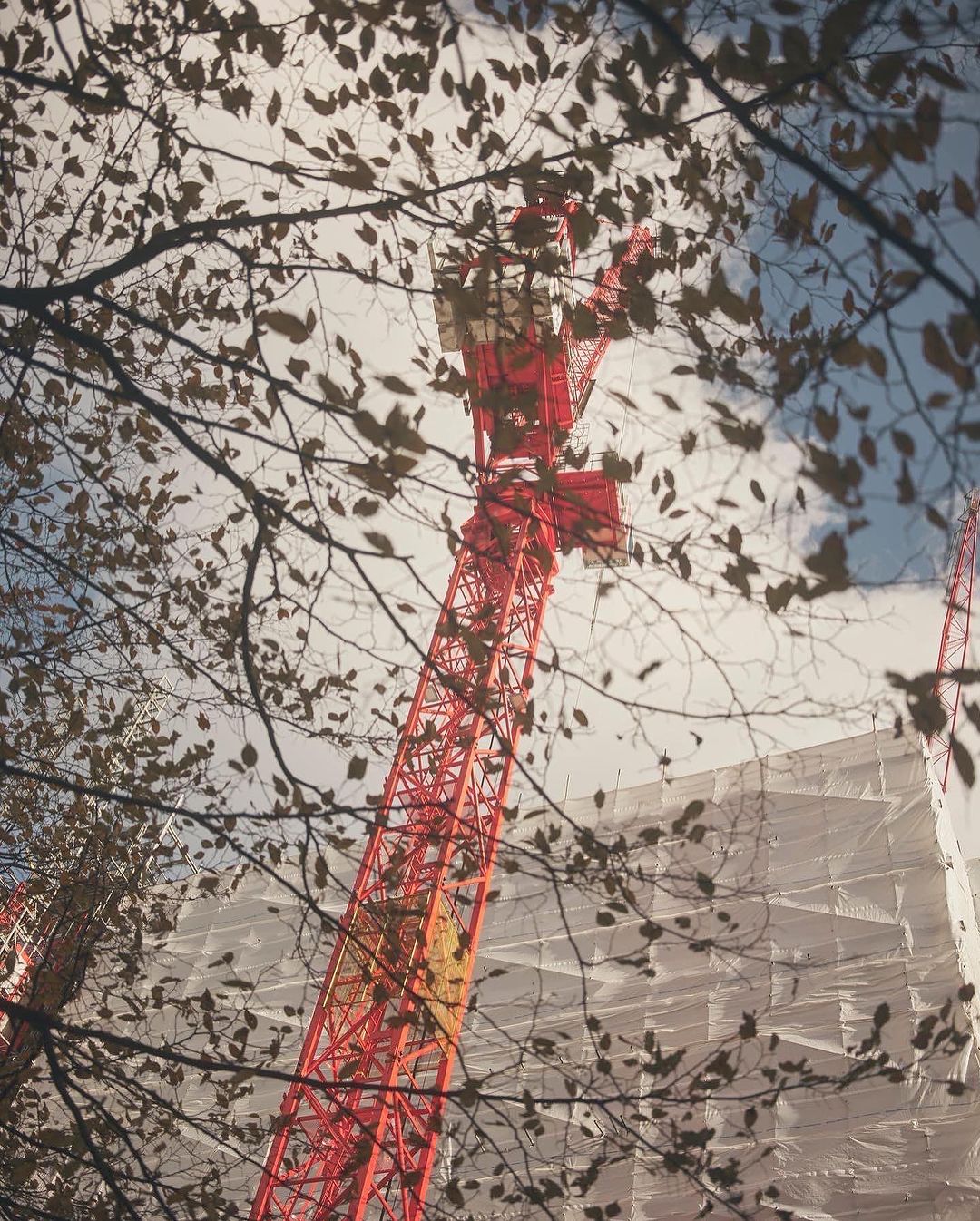 Construction crane against cloudy sky, viewed through tree branches. Red crane contrasts with muted tones of building and foliage.