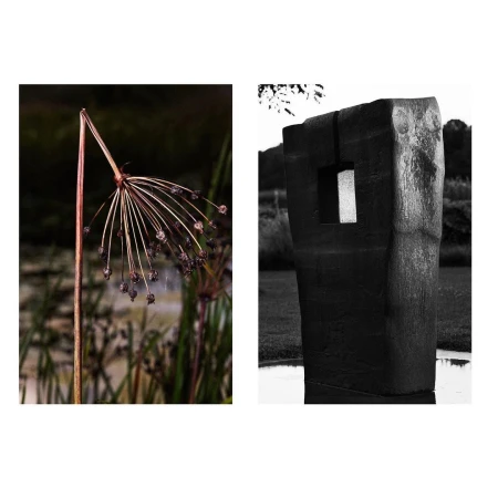 Abstract botanical black and white photograph featuring a dried flower pod, reeds, and concrete sculpture in an outdoor setting.