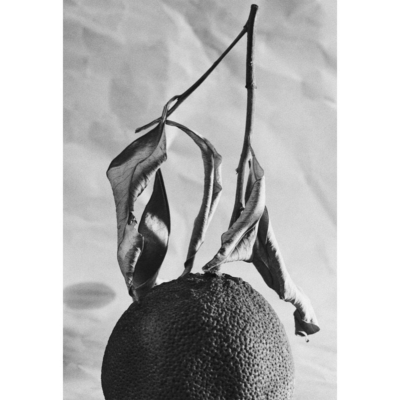 Monochrome still life photograph of a textured orange with a stem and dried leaves against a mottled background in vertical format.
