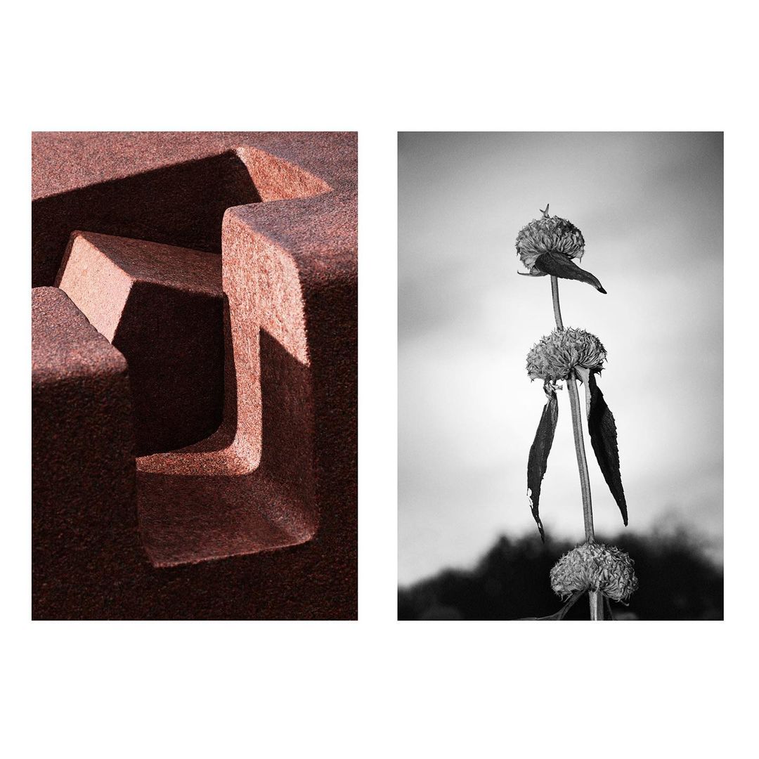 A diptych features a close-up of geometric shapes on the left and a monochrome botanical study of flowers on the right.