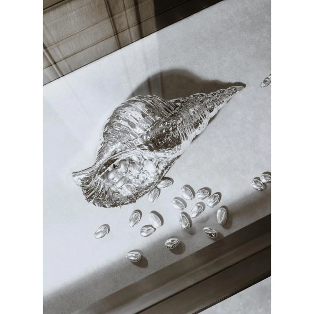 Silver seashell art piece with small silver objects scattered around on a light grey surface, framed in a dark frame.
