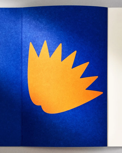 Abstract image of a jagged orange shape set against a blue background, suggesting a burst, flame, or stylized floral element.