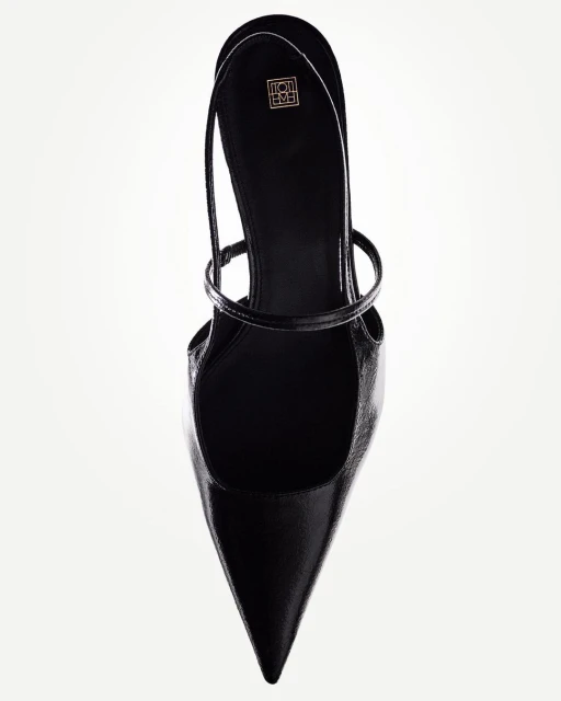 High angle studio shot of a single black leather pointed-toe slingback heel against a white background, showing the shoe's shape and straps.