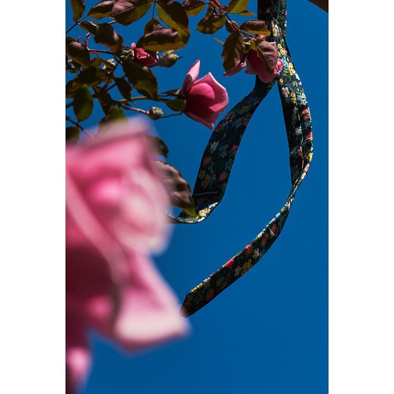 Eye-level shot of a floral-print tie suspended from a tree branch with pink roses against a clear blue sky in outdoor daylight.