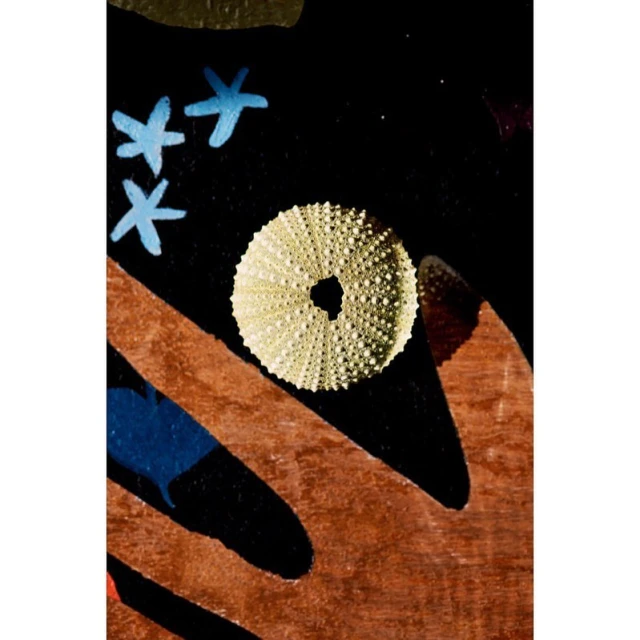 High-angle shot of a sea urchin shell with blue stars on a black surface with brown organic shapes, creating a textured abstract.