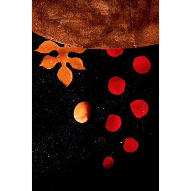 Abstract art featuring red and yellow dots, an orange leaf, and a brown shape on a textured black background.