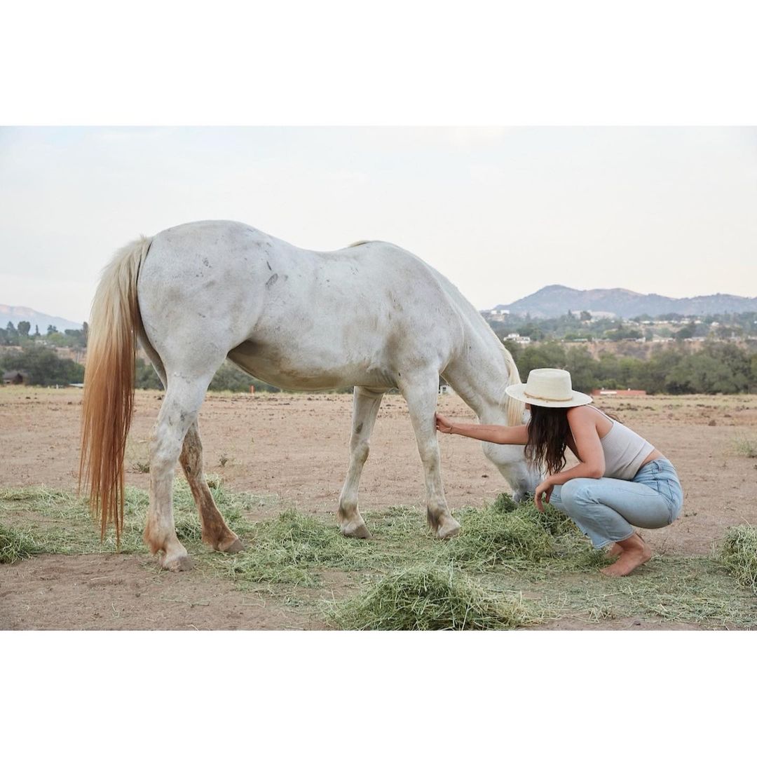 Woman in jeans and a hat crouches to pet a light-grey horse in a rural setting with sparse trees, grass, and distant hills.