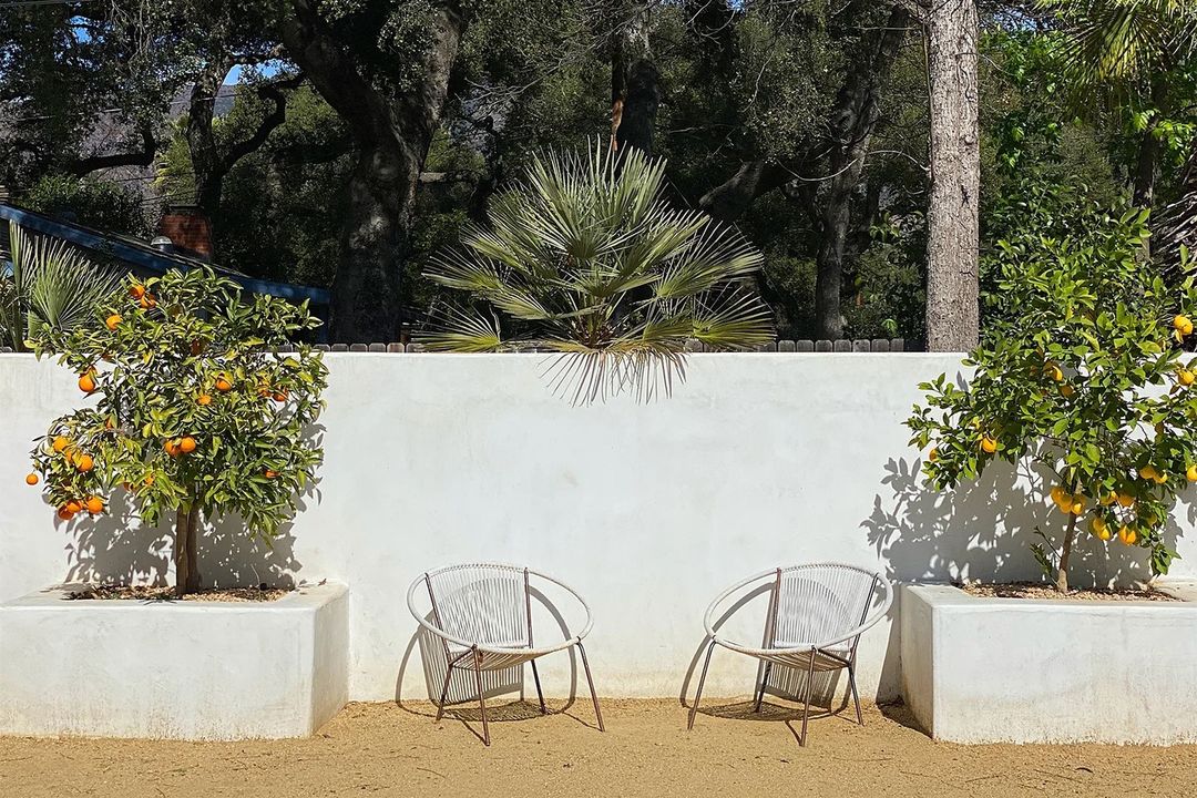 Outdoor patio featuring two modern white chairs, orange trees in white planters, and a white wall in a sunlit garden setting.