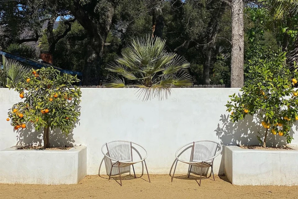 Outdoor patio featuring two modern white chairs, orange trees in white planters, and a white wall in a sunlit garden setting.