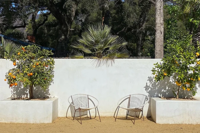 Outdoor patio featuring two modern white chairs, orange trees in white planters, and a white wall in a sunlit garden setting.