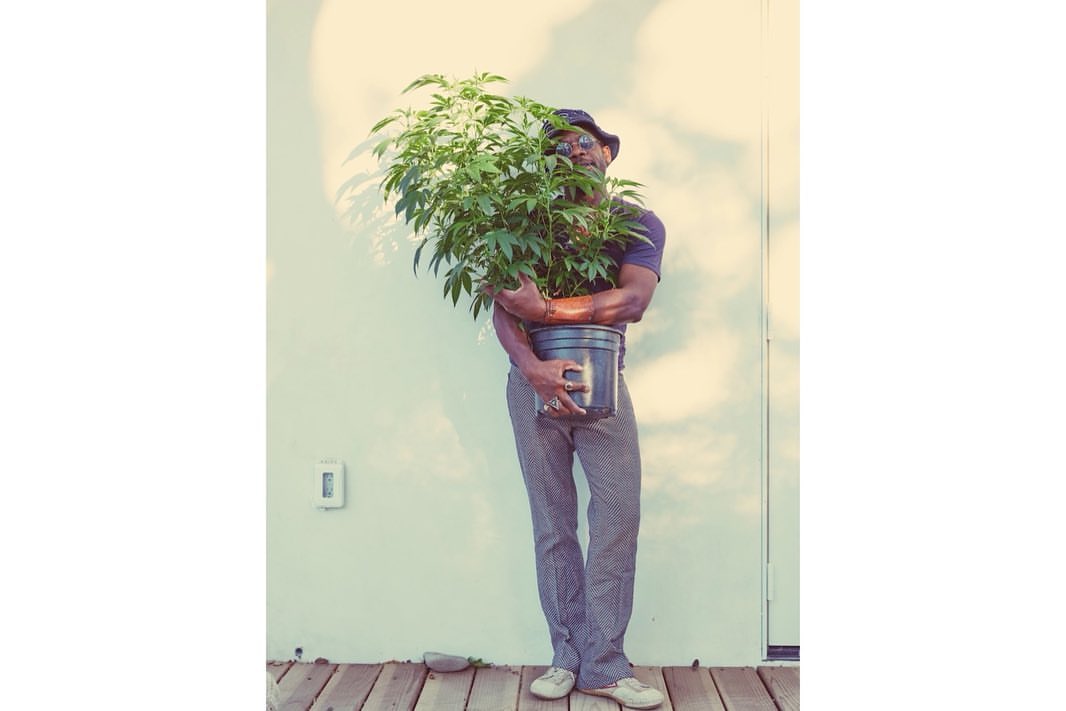 Adult man wearing a hat holding a leafy potted plant outdoors against a white wall on a sunny day with natural light.