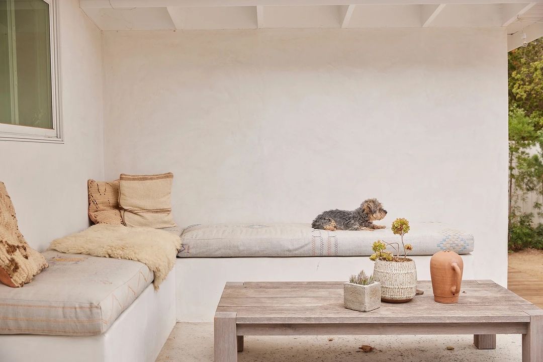 Small dog resting on a cushioned bench on a patio next to a weathered wooden table with potted plants, with neutral color palette.