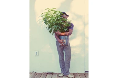 Man holding a potted green plant against a light wall, photographed by Thayer Allyson Gowdy in New York.