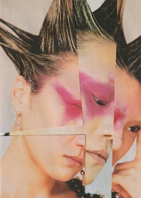 Collage of a woman's face with stylized hair and pink makeup. The composition features a fragmented, layered effect on a light background.