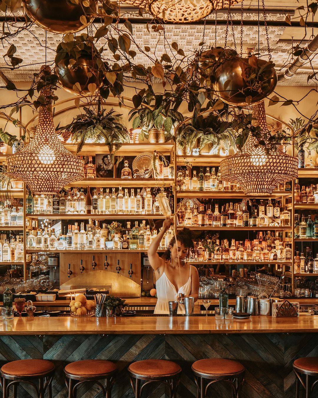Bartender preparing a cocktail in a bar with warm lighting, shelves of liquor, and hanging plants creating a lush, inviting atmosphere.
