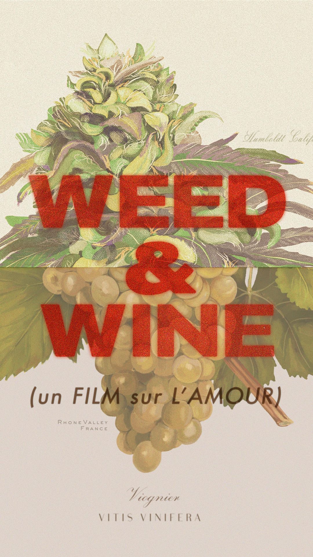 Illustration of cannabis flower and grapes with 'Weed & Wine' text overlay, stylized vintage design, botanical art, cannabis, and grapes.