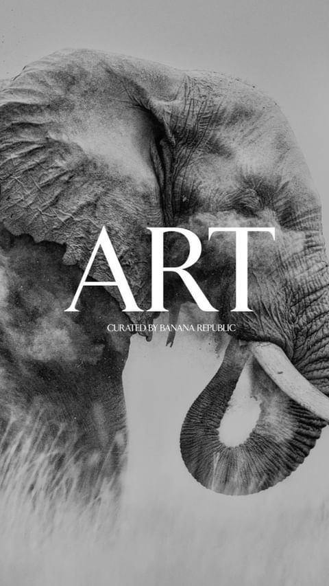 Artistic monochrome shot of an elephant head and tusks, combined with grass and fog, and featuring superimposed 'ART' text.