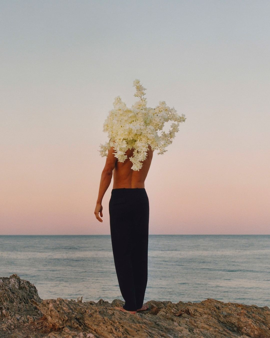 Male figure stands on rocks by the ocean with back to camera; large white flowers obscure the head against a pale pink sky.