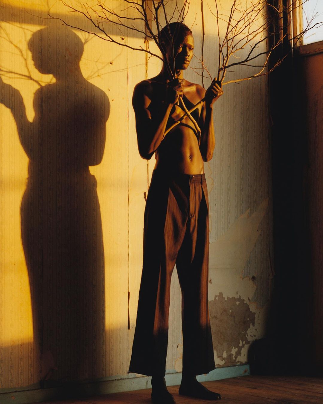 A slender person stands with bare chest and brown pants, holding tree branches in a sunlit room, casting a large shadow.