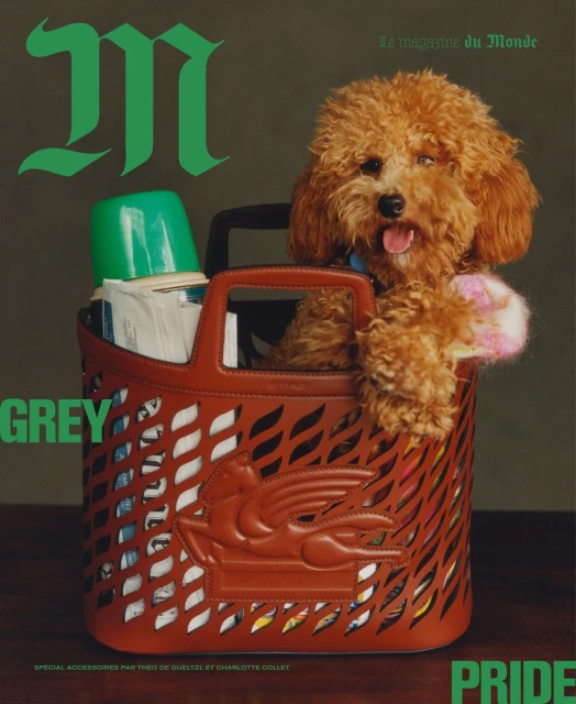Magazine cover featuring a brown poodle in a brown tote bag filled with various objects, alongside green and grey text on a neutral background.